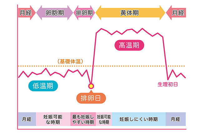 月経困難症とは？